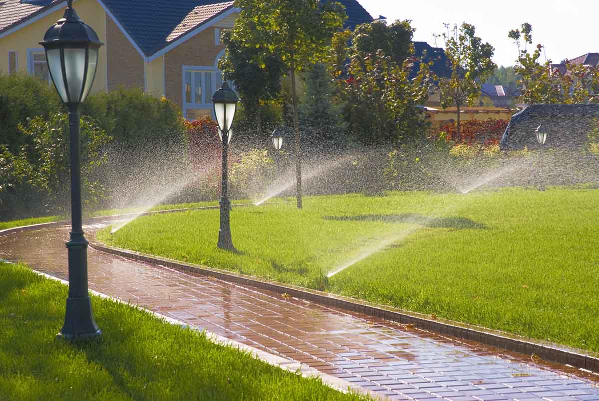 View leaf removal project in Horsham